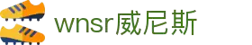 wnsr威尼斯·(集团)有限公司-官方网站